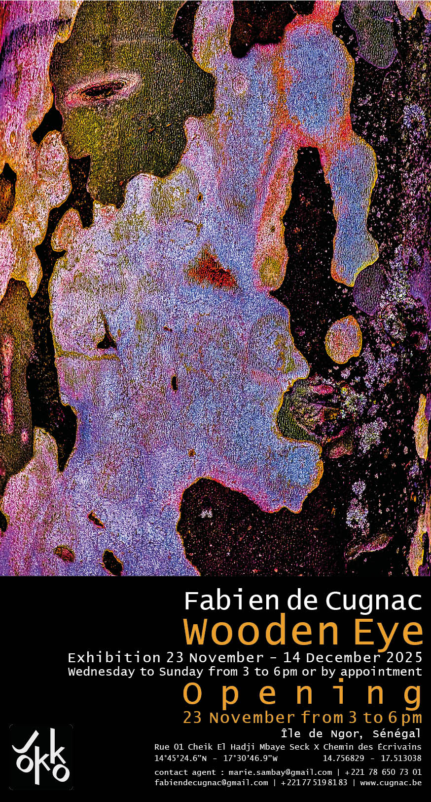 Exhibition Wooden Eye (Oeil de bois) 23 November - 14 December 2025