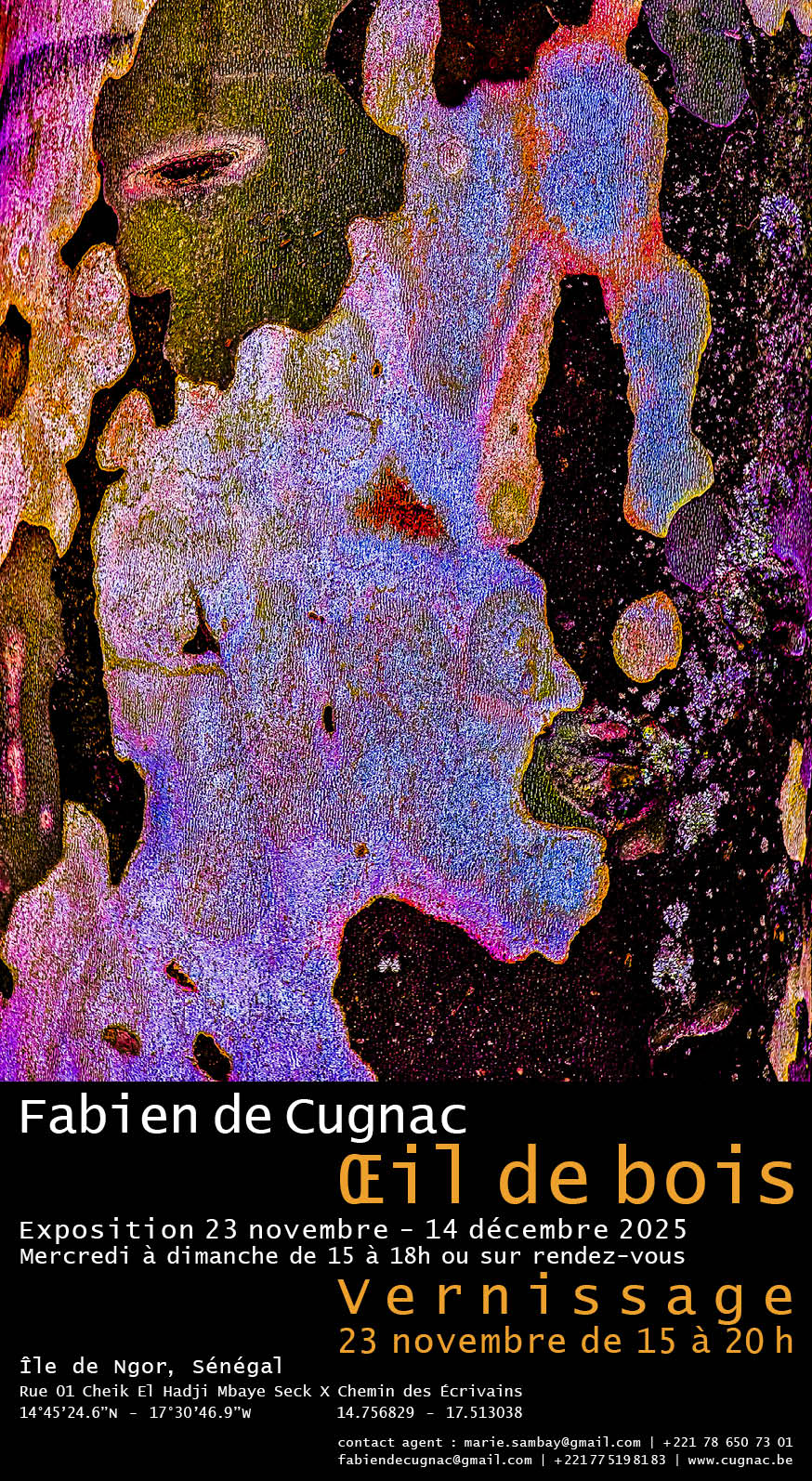 Invitation Œil de bois, Île de Ngor Sénégal. Exposition du 23 novembre au 13 décembre 2025